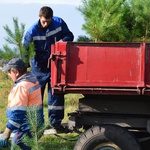 Белово присоединилось к Единому дню посадки деревьев