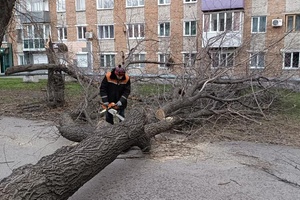 Беловские коммунальщики продолжают ликвидировать последствия ураганного ветра
