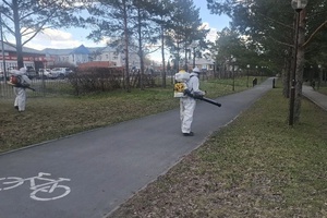 В Белове проводится акарицидная обработка общественных территорий